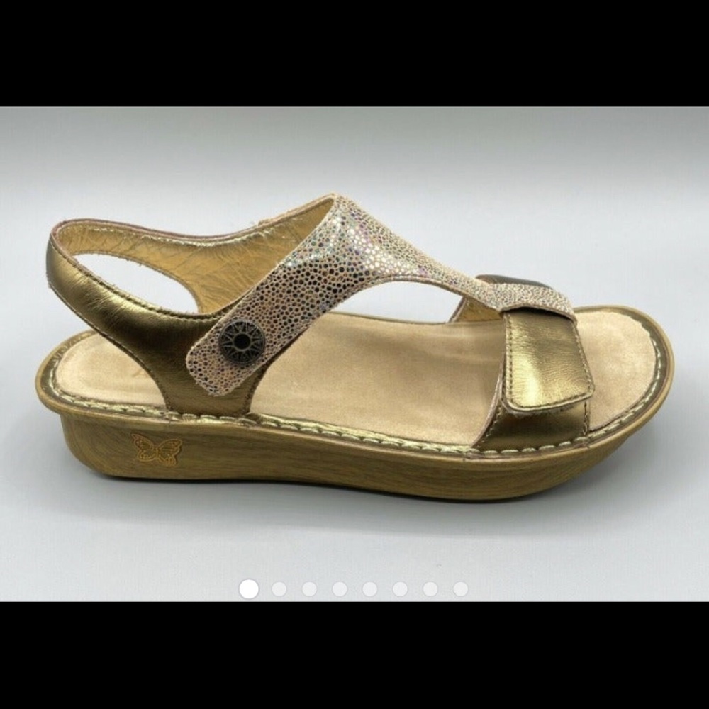 Alegria Ken 680 gold sandals.